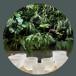 Image: YOGA + SOUND BATH at Hanai Center