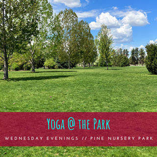 Image: Yoga @ the Park